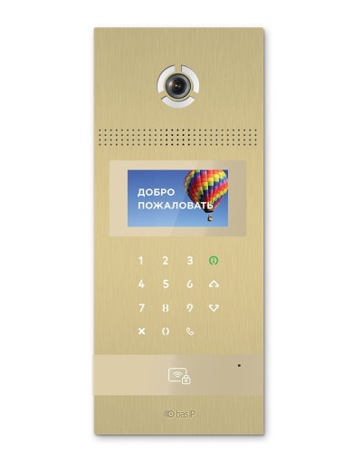 AA-12FB GOLD. Вызывная панель подъездного IP-домофона. BAS-IP в Череповце