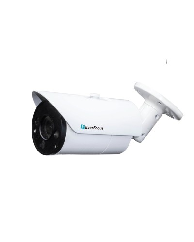 EZN-268V. Видеокамера IP купольная. EverFocus в Череповце