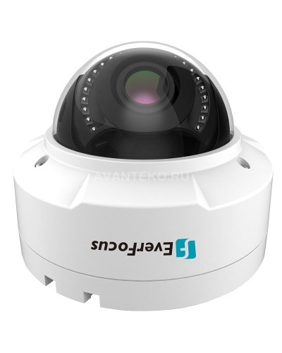 EHN-1250. Видеокамера IP купольная. EverFocus в Череповце