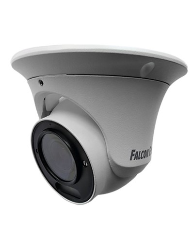FE-IPC-DV2-40pa. Видеокамера IP купольная. Falcon EYE в Череповце