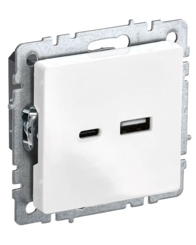 Розетка USB A+C 18Вт РЮ11-1-БрБ белый BRITE (BR-U22-018-K01). Розетка USB. IEK в Череповце