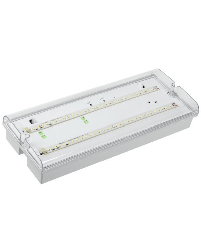 Светильник аварийный ДПА 5042-3 3ч IP65 LIGHTING (LDPA0-5042-3-65-K01). Светильник аварийный универсальный. IEK в Череповце