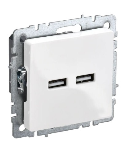 Розетка USB A+A 3,1А РЮ10-1-БрБ белый BRITE (BR-U21-D31-K01). Розетка USB. IEK в Череповце