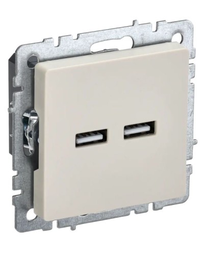 Розетка USB A+A 3,1А РЮ10-1-БрКр бежевый BRITE (BR-U21-D31-K10). Розетка USB. IEK в Череповце