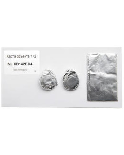 Карта объекта 1+2. Проксимити карта. IronLogic в Череповце