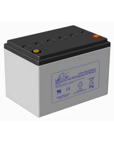 LEOCH LPG 12-60. Аккумулятор герметичный свинцово-кислотный. LEOCH в Череповце