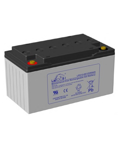 LEOCH LPG 12-65. Аккумулятор герметичный свинцово-кислотный. LEOCH в Череповце