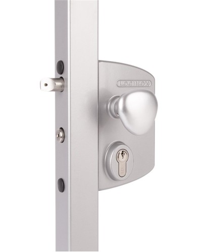 LIKQ4040 U2L (цвет: RAL 9005, черный). Замок электромеханический для калиток. Locinox в Череповце