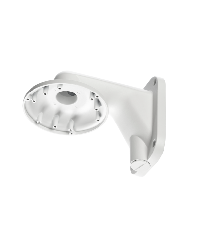 RVi-1BWM-5 white. Кронштейн настенный. RVi в Череповце