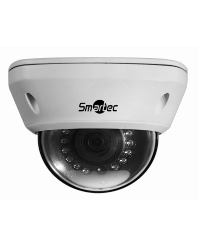 STC-IPM5591/1. Видеокамера IP купольная. Smartec в Череповце