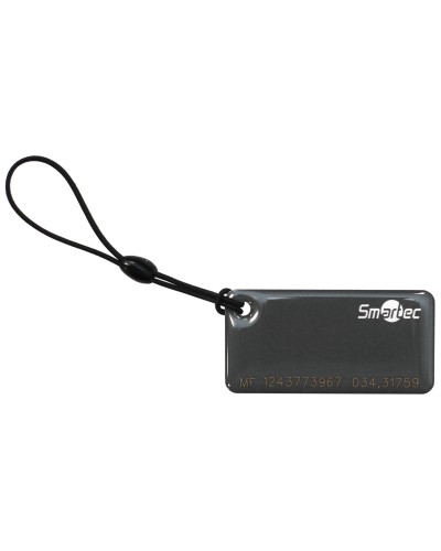 ST-PT015MF-GR. Брелок. Smartec в Череповце