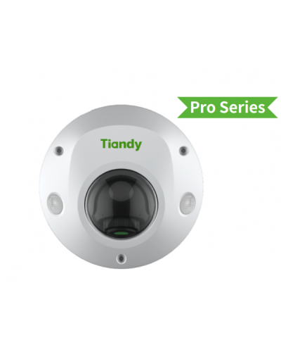 TC-C32PS I3/E/Y/M/H/2.8/V4.2. Видеокамера IP купольная. Tiandy в Череповце