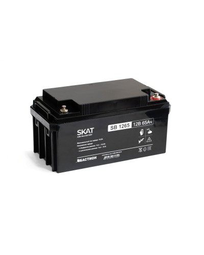 SKAT SB 1265 (2541). Аккумулятор герметичный свинцово-кислотный. Бастион в Череповце
