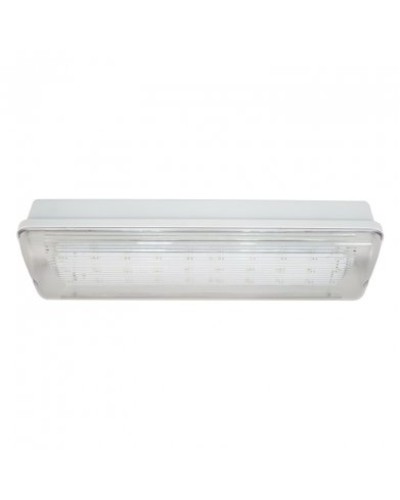 SL-223-30LED1.8 исп. 1, IP65. Светильник аварийного освещения. ИП Раченков А.В. в Череповце