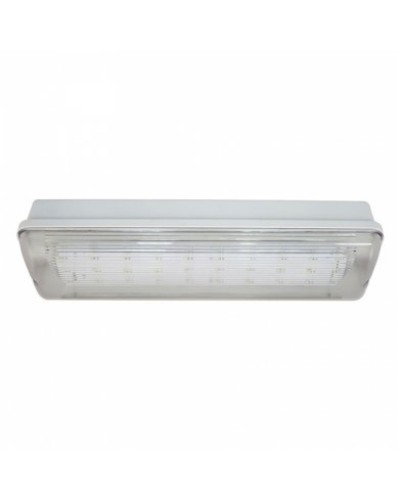 SL-213-30LED1.8 исп. 1 IP65. Светильник аварийного освещения. ИП Раченков А.В. в Череповце