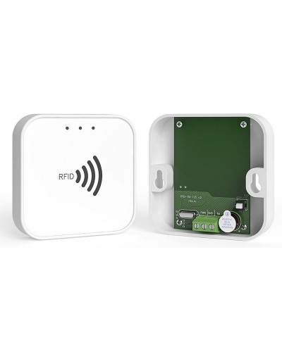 RFID-TM. Считыватель RFID. Ритм в Череповце